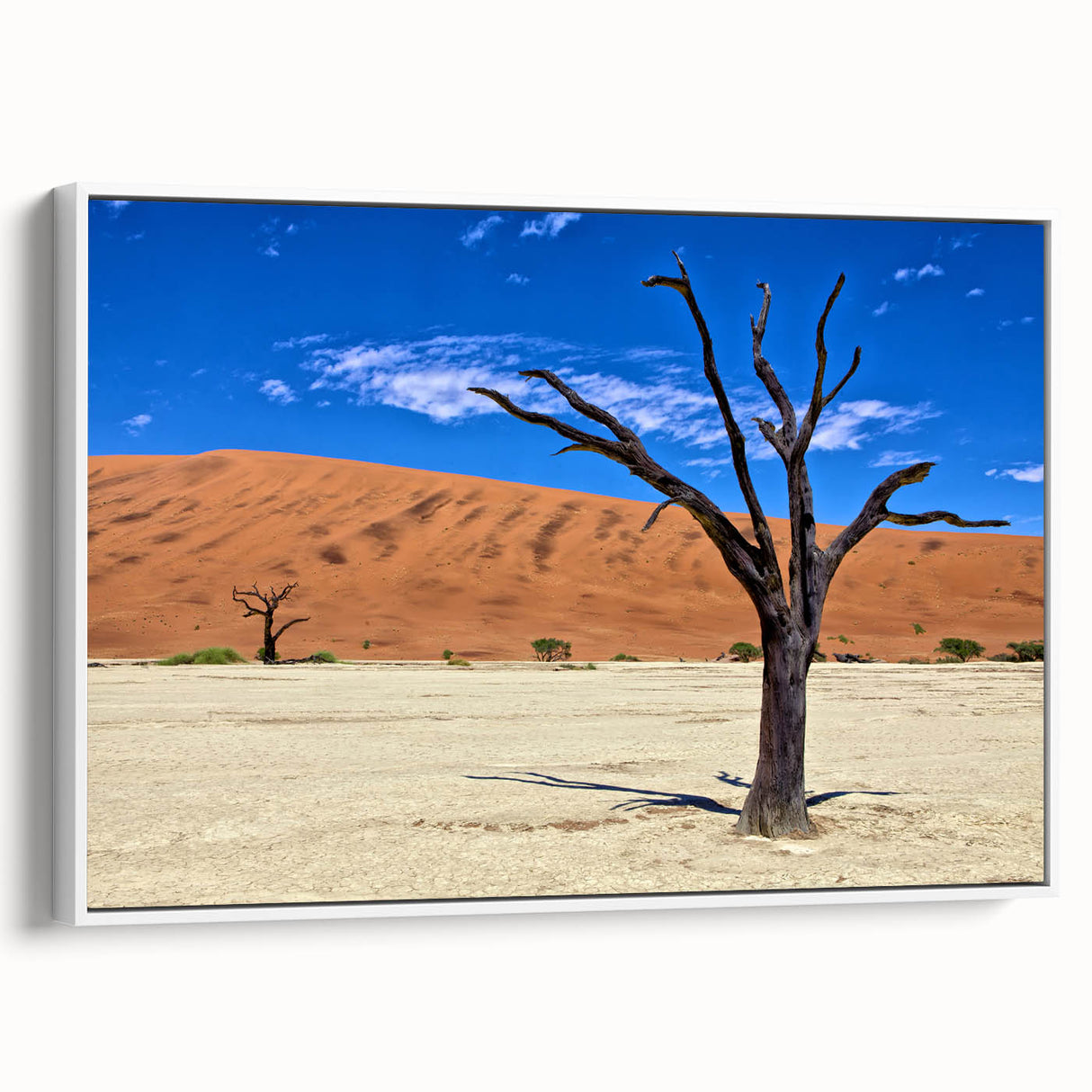 Framed canvas depicting a serene Namibian landscape in black and white tones, ideal for bedroom wall art.