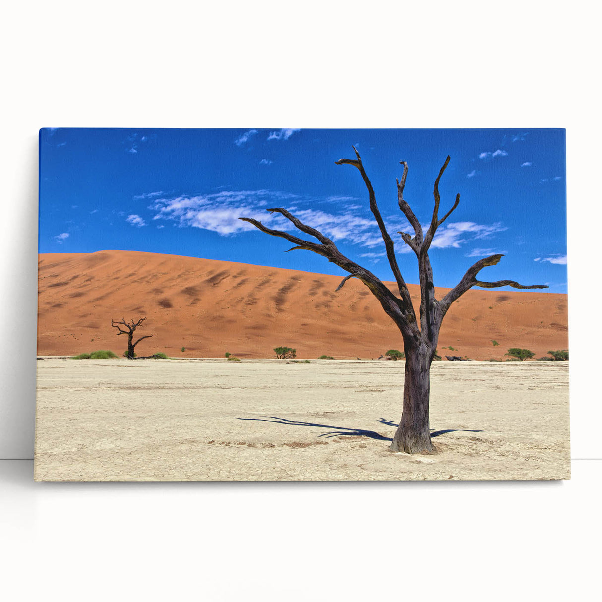 Black and white photograph of Namibian scenery on a stretched canvas, ideal for kitchen wall art or bedroom ambiance.