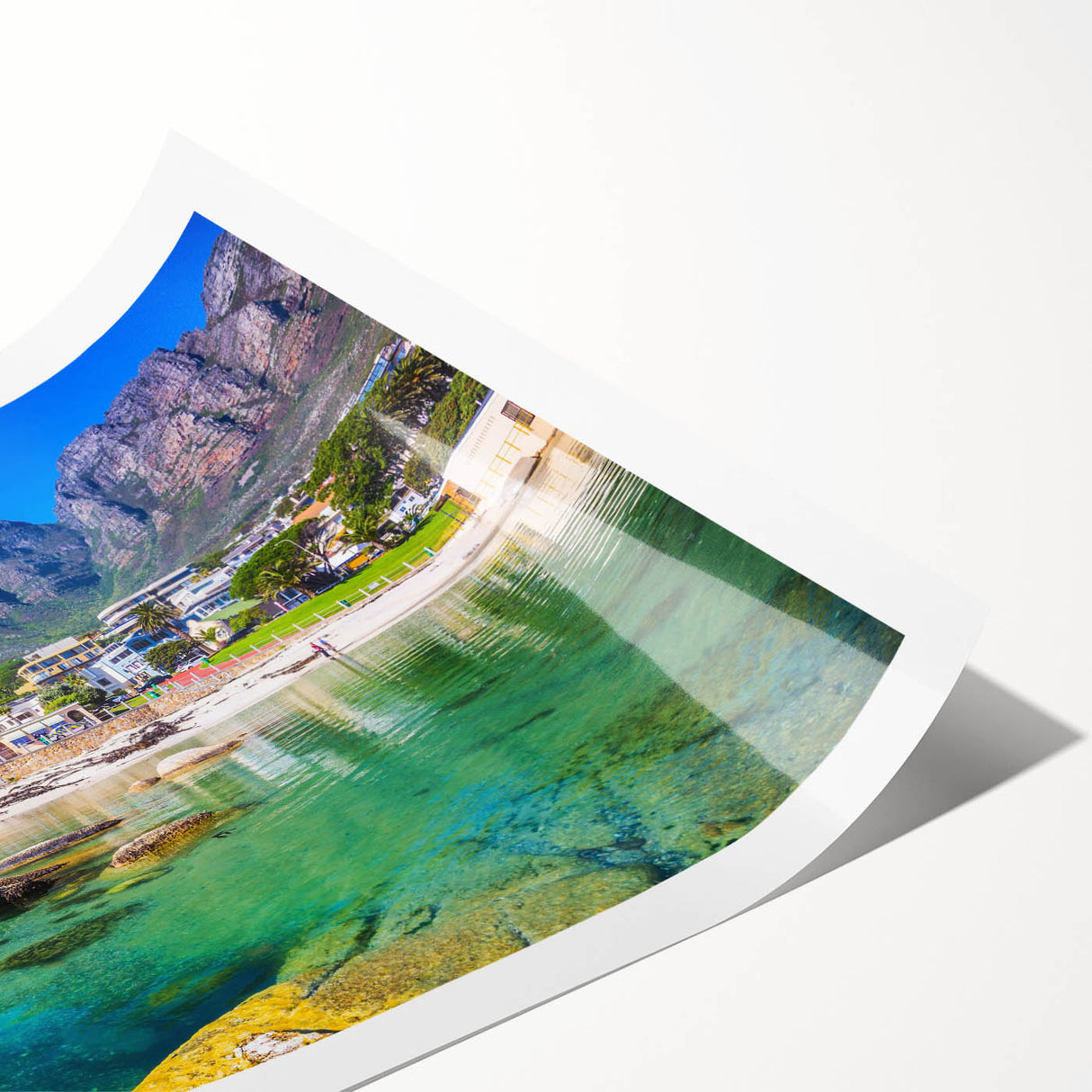 Extra large wall art featuring line art flowers in monochrome, printed on rolled canvas, ideal for large living room decor.