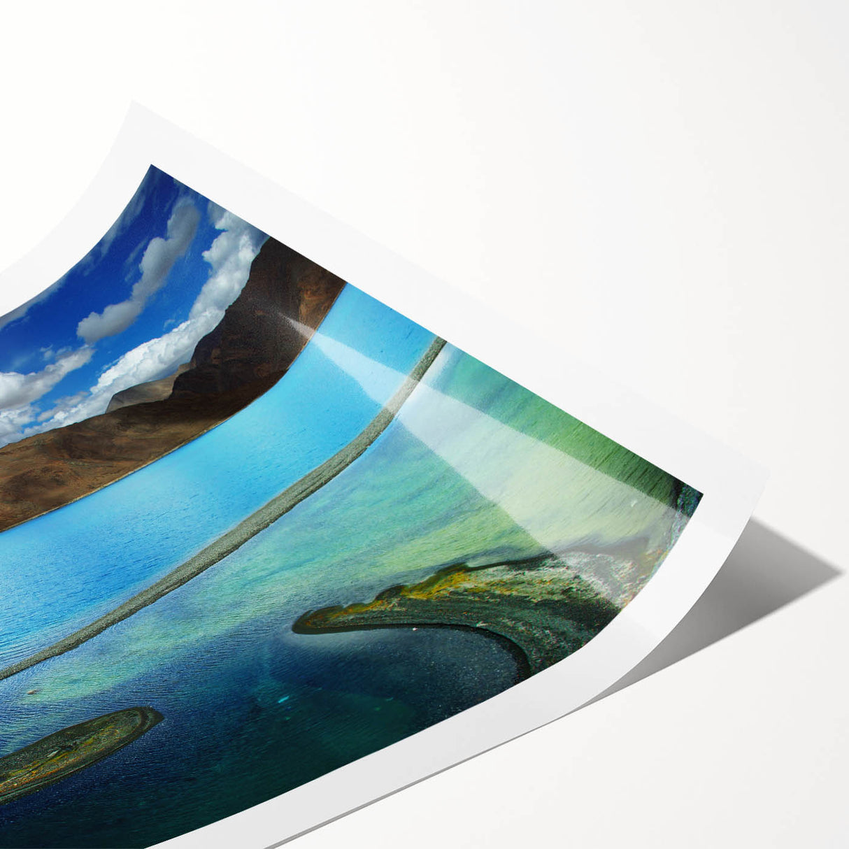 Extra large wall art of line art flowers, muted green and white, rolled print, suitable for large living room decor.