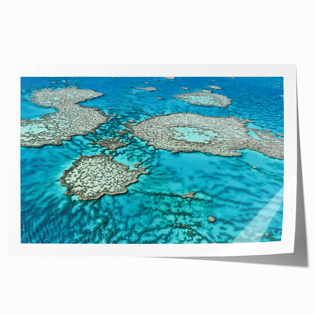 Rolled print of the Great Barrier Reef in vibrant blue and green tones, suitable for dining room or bathroom wall art.