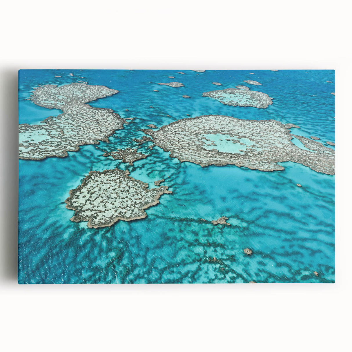 Black and white stretched canvas of the Great Barrier Reef, ideal for kitchen wall art.