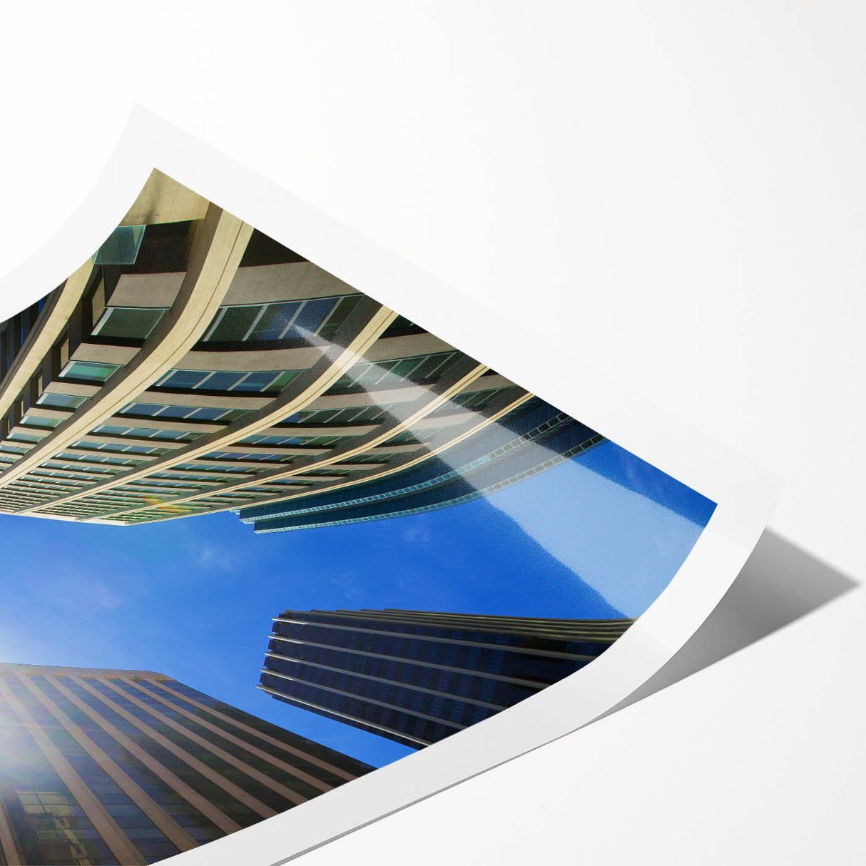 Extra large wall art featuring line art flowers in muted tones on a rolled canvas, suitable for large living room spaces.