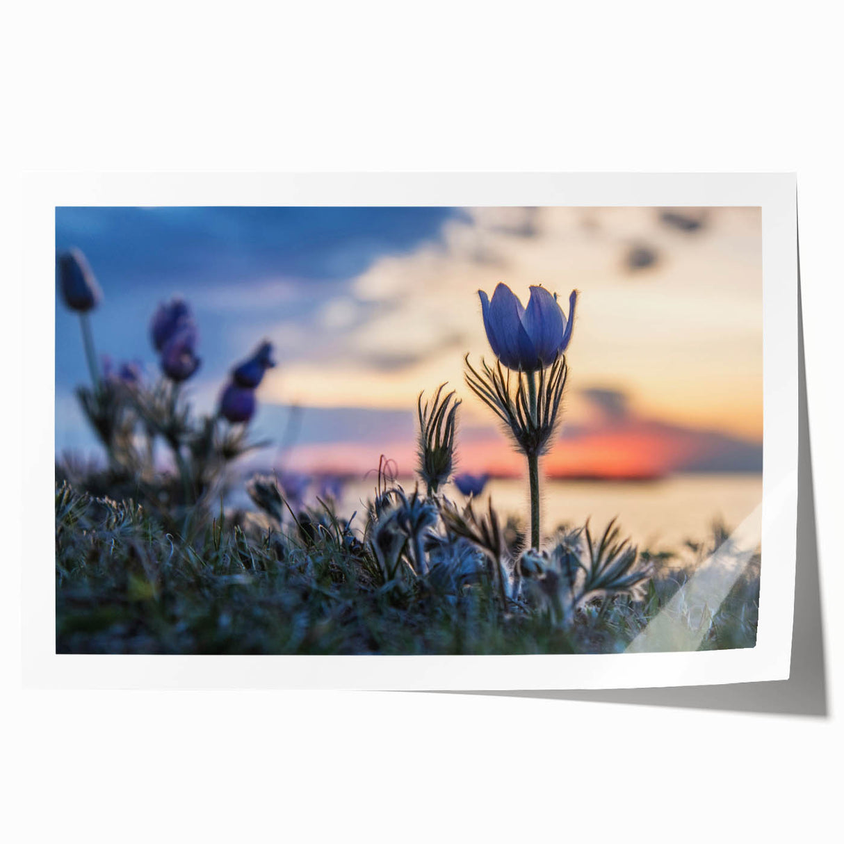 Rolled print of a serene Manitoba landscape with soft pastel hues, ideal for dining room wall art.