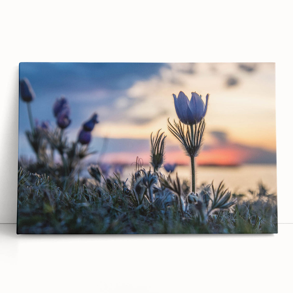 Black and white stretched canvas depicting a serene Manitoba landscape, ideal for kitchen wall art or bedroom ambiance.