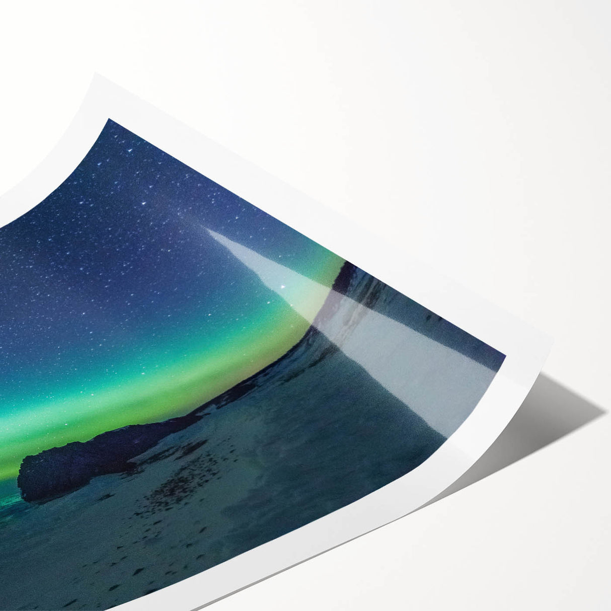 Extra large rolled print depicting line art flowers in muted earth tones, ideal for large living room wall art.