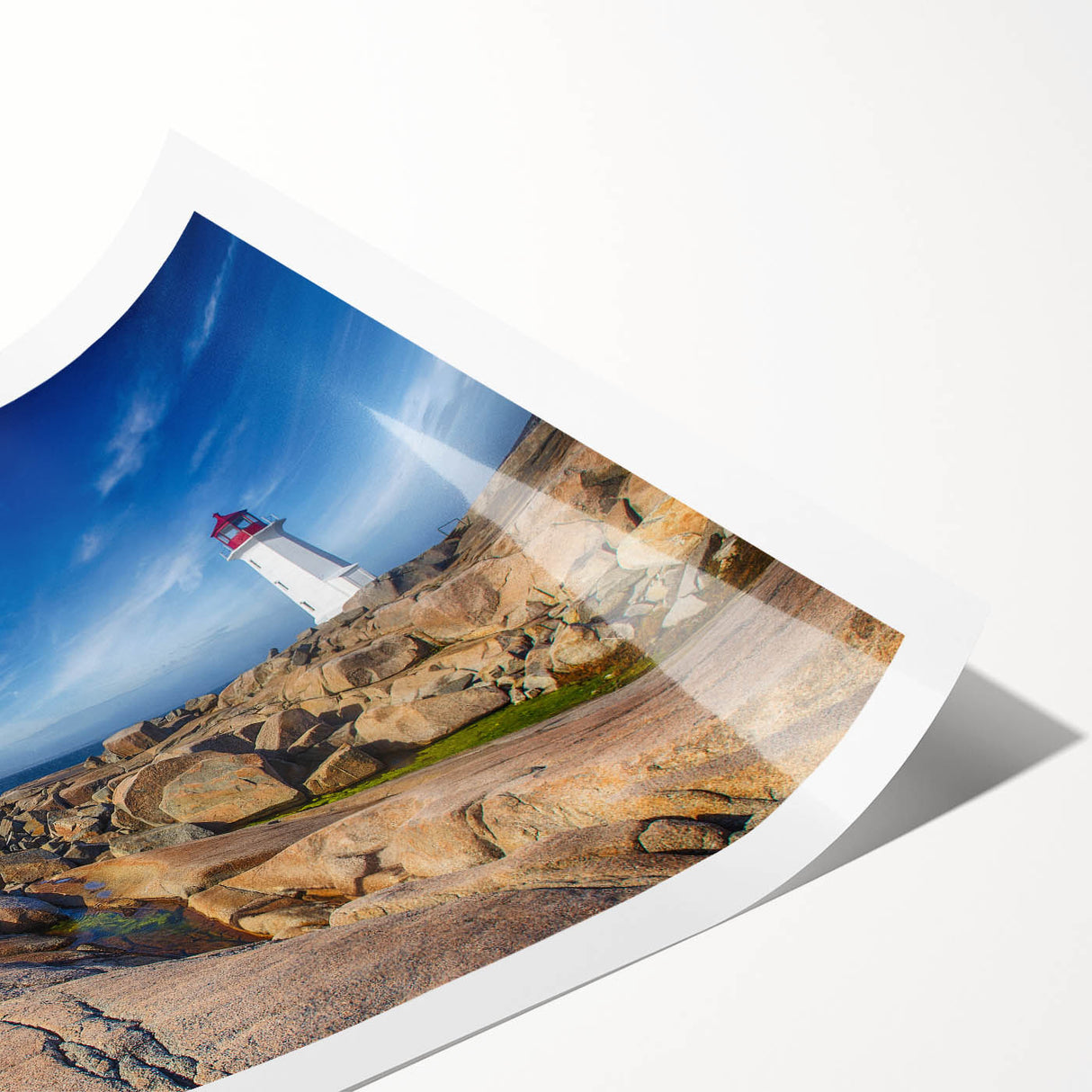 Extra large wall art featuring line art flowers in subtle shades, printed on rolled canvas.