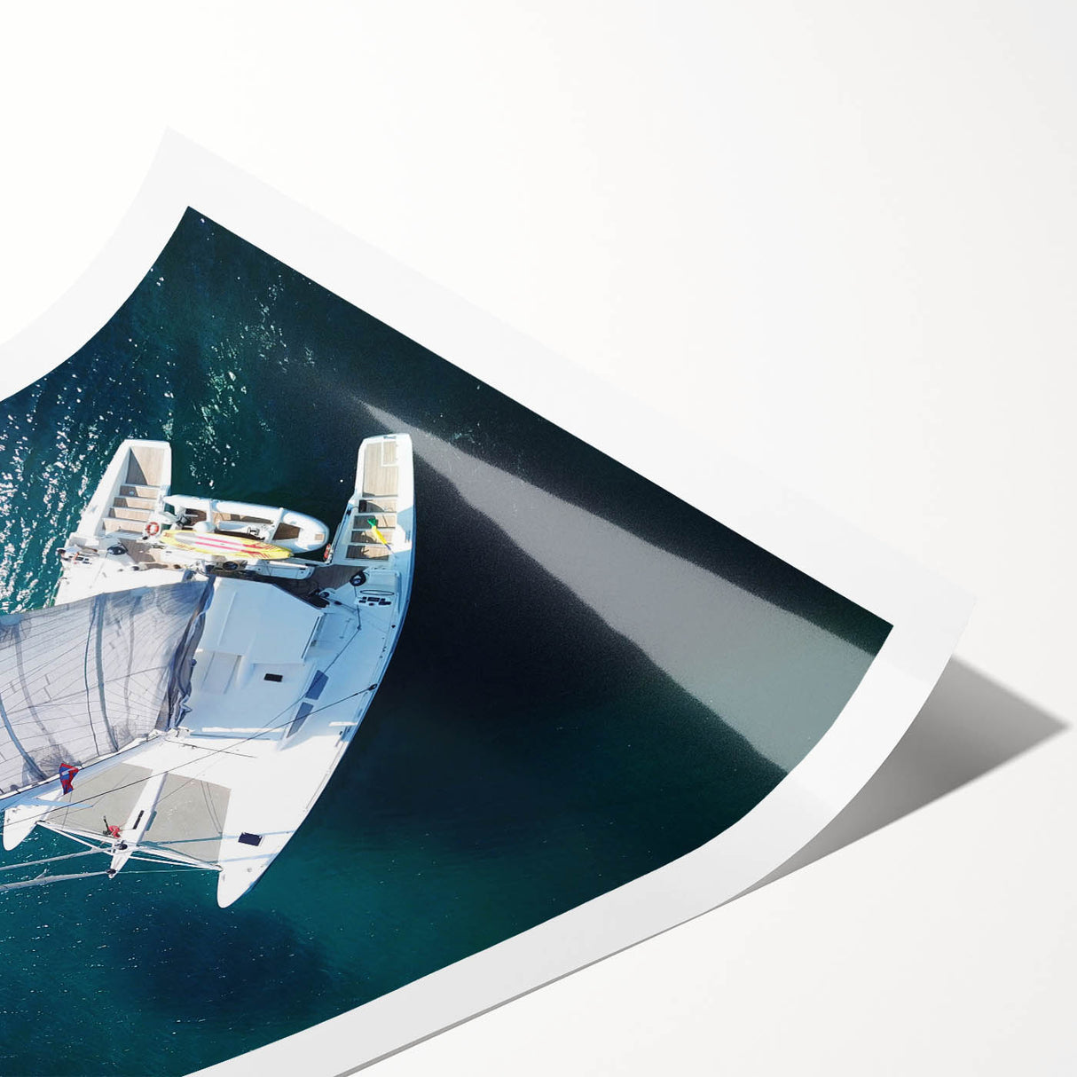 Extra large wall art depicting line art flowers in subtle hues, printed on a rolled canvas.