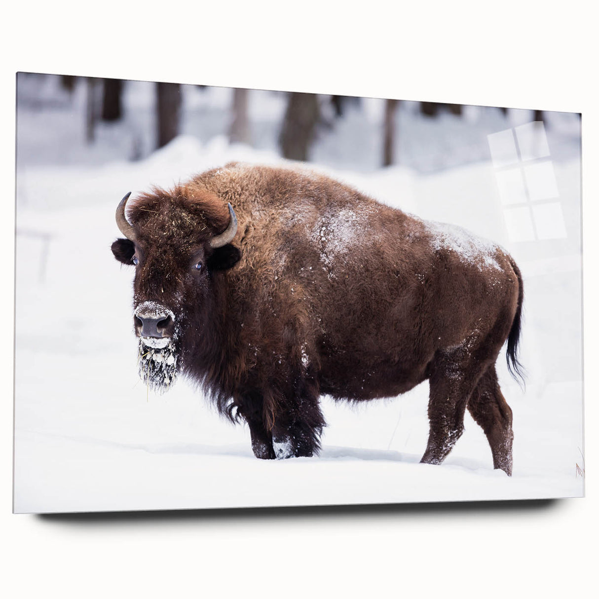 Large abstract wall art depicting North Dakota scenery in muted earth tones on acrylic glass.