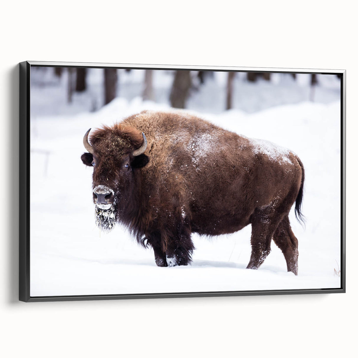 Black and white framed canvas of a North Dakota landscape, ideal for bedroom wall decor.