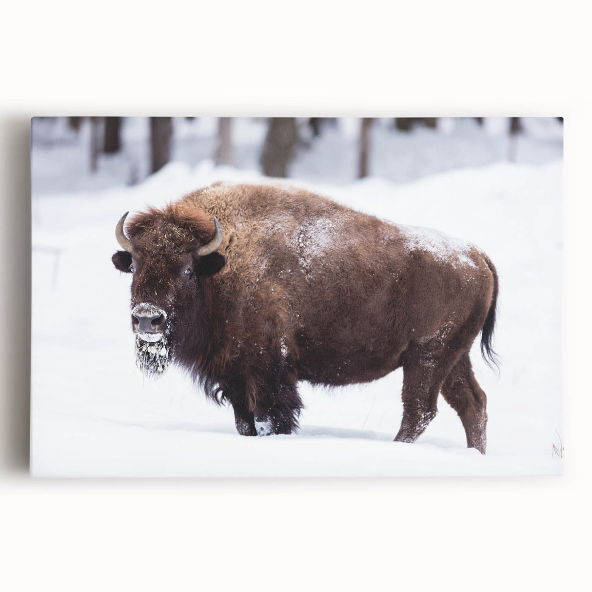 Black and white stretched canvas of North Dakota scenery, ideal for kitchen wall art.