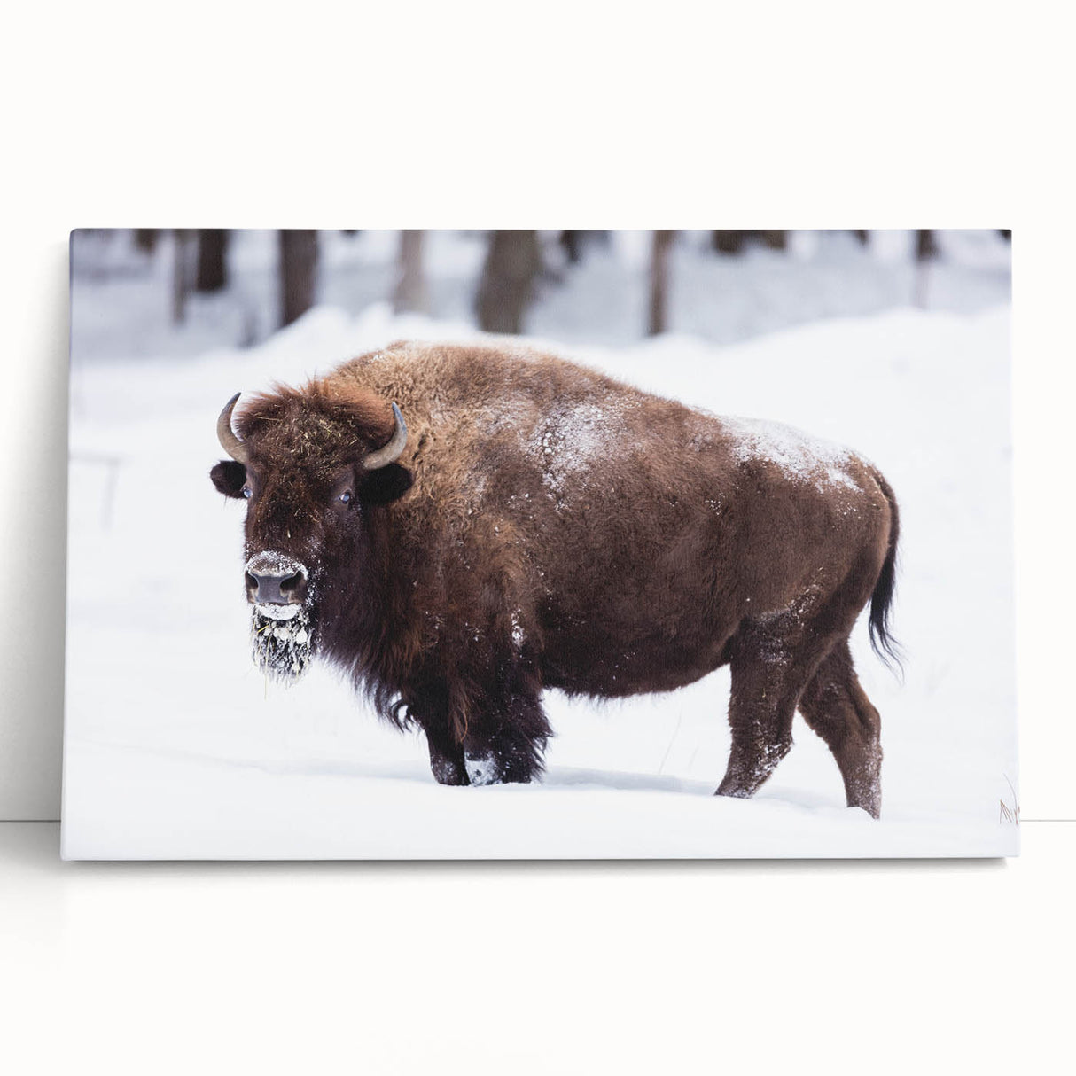 Black and white stretched canvas featuring a serene North Dakota landscape, ideal for kitchen wall art or bedroom decor.