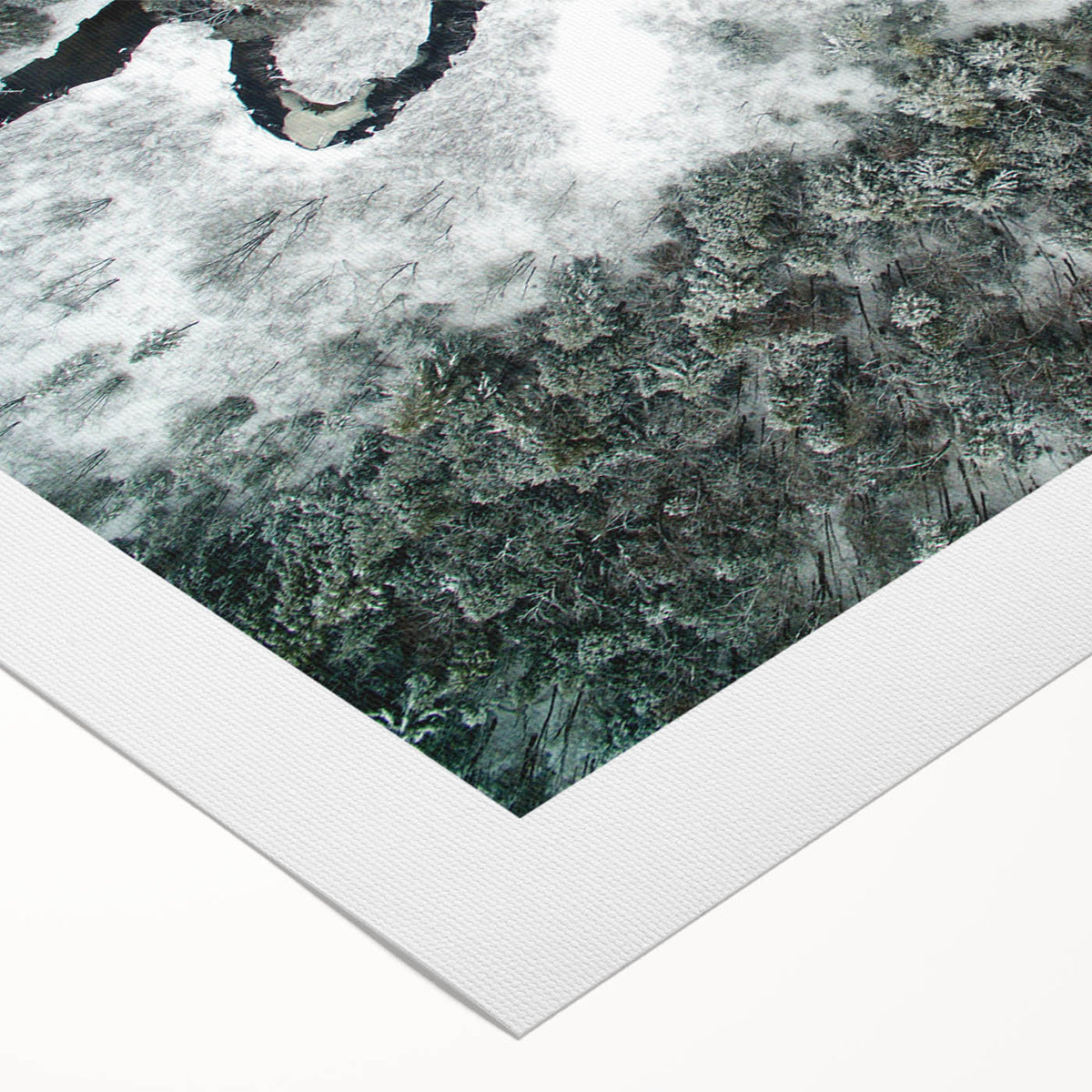 Art deco poster featuring the Adirondack landscape in muted green and blue tones on rolled canvas.