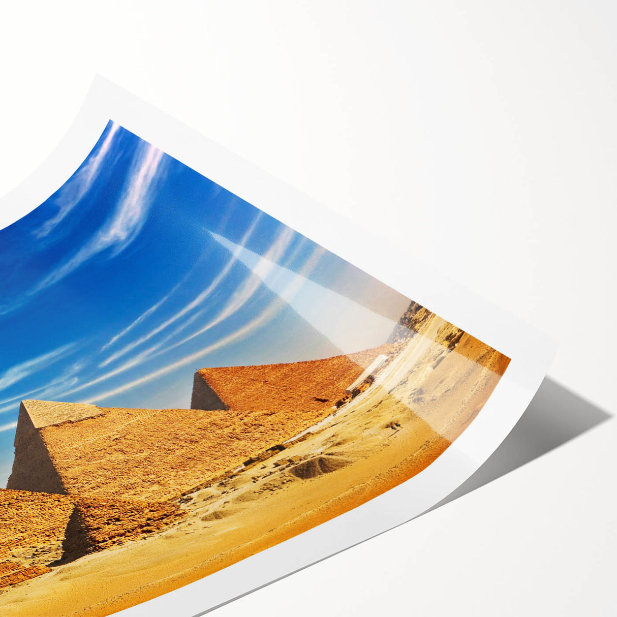 Extra large rolled print of line art flowers with a neutral color palette, suitable for large living room wall art.