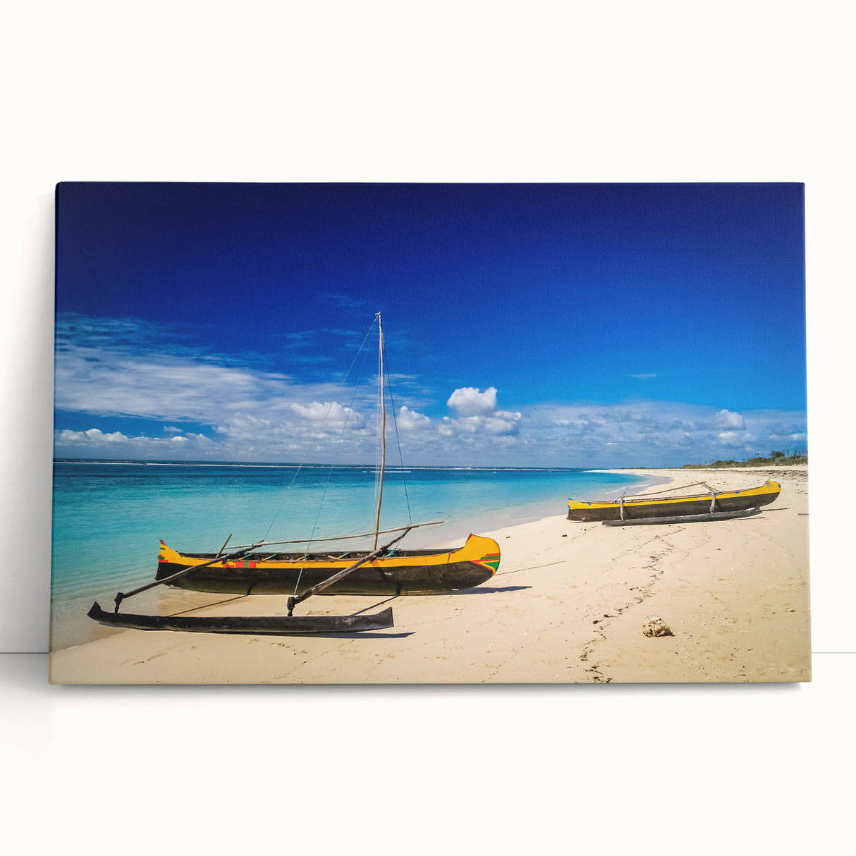 Large black and white canvas print of a Madagascar scenery, ideal for kitchen wall art or bedroom decor.