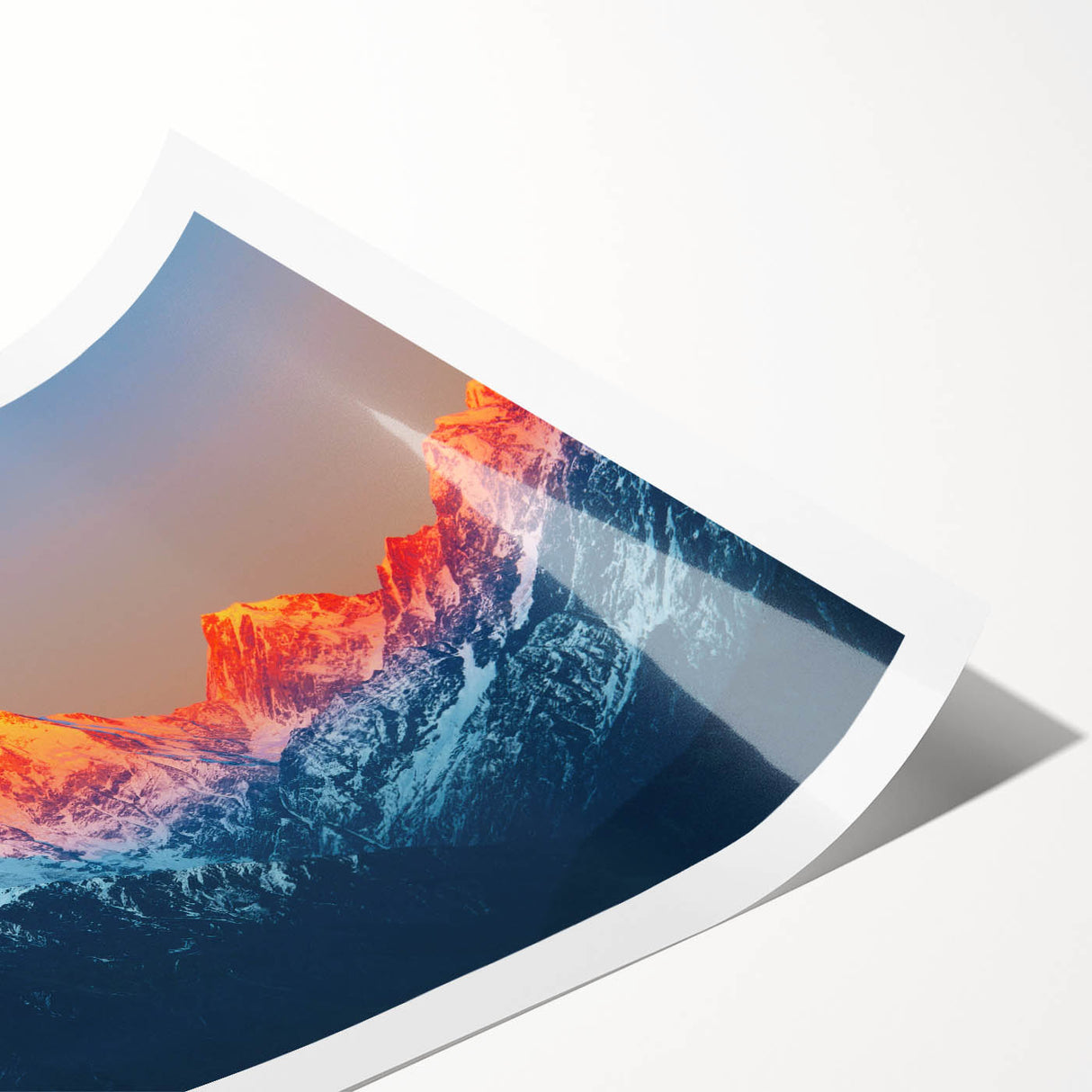 Extra large wall art featuring line art flowers in muted earth tones on rolled print, ideal for large living room decor.