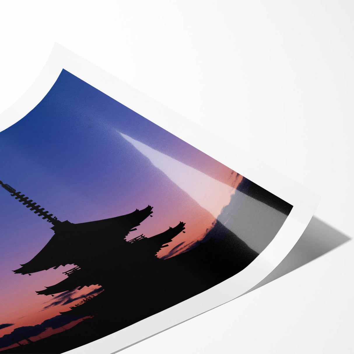 Extra large rolled print of line art flowers with muted earth tones, ideal for large living room wall art.