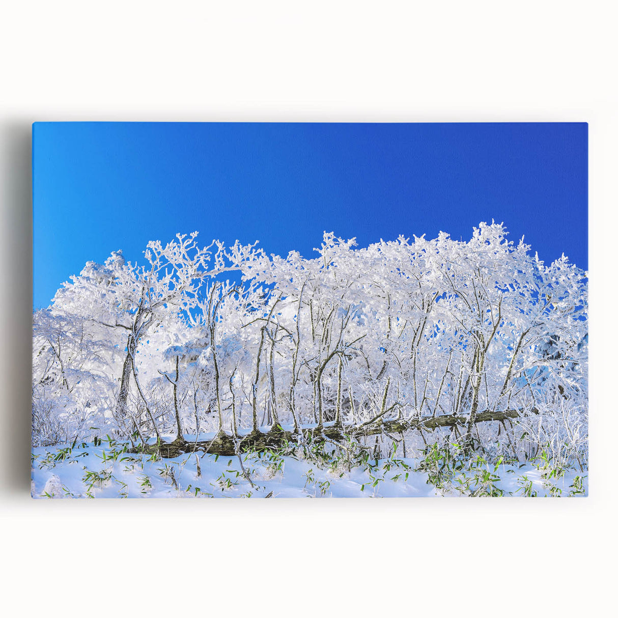 Large black and white stretched canvas of Asian scenery, ideal for kitchen wall art.
