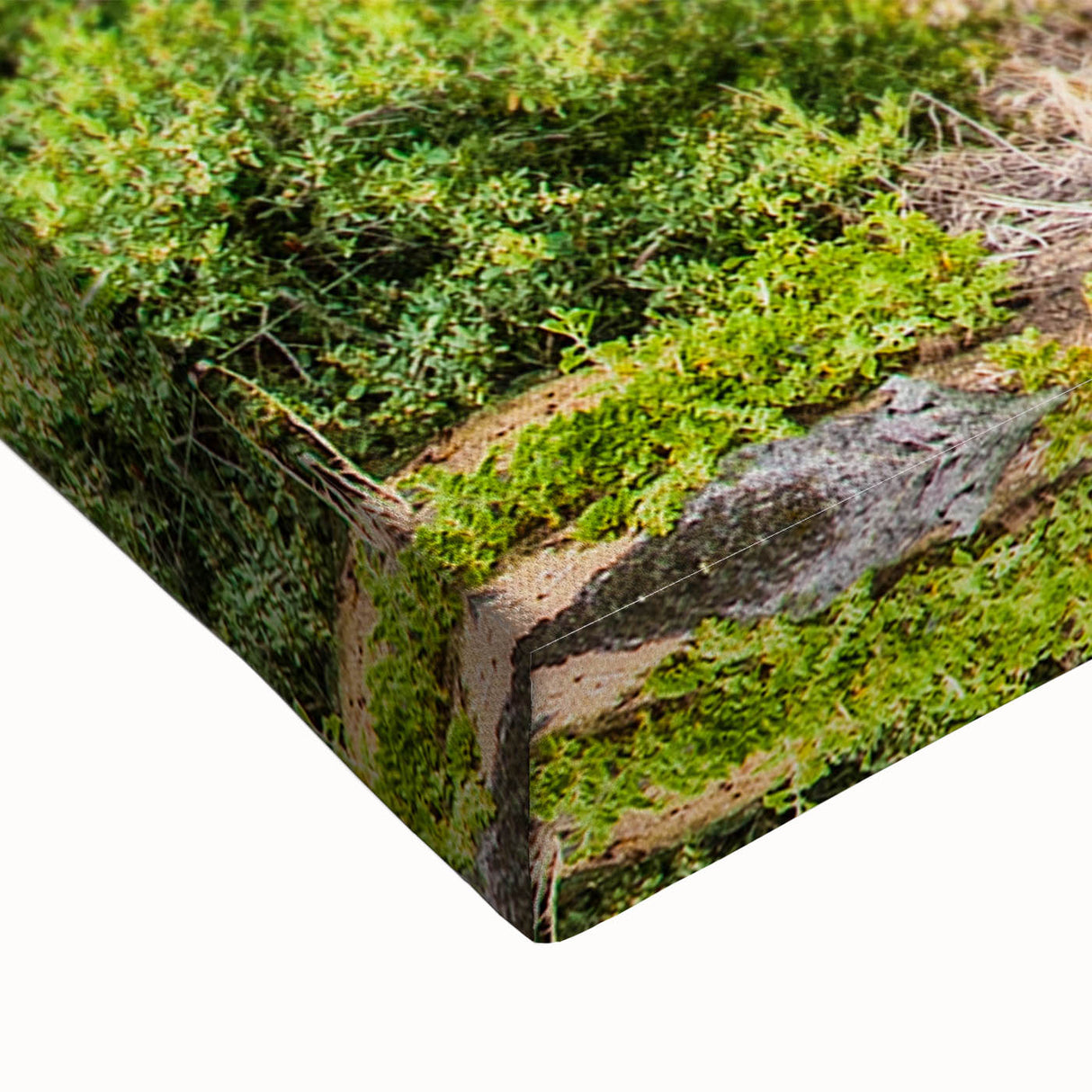 Large art depicting Melbourne skyline in black and white on a stretched canvas, suitable for bedroom wall decor.