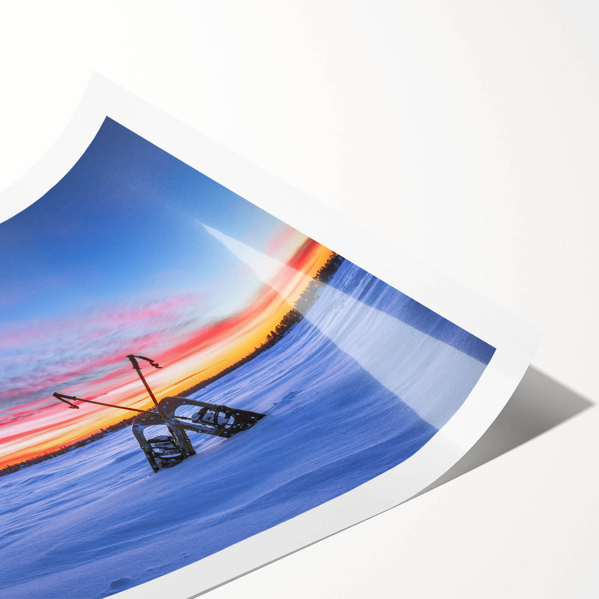 Extra large wall art featuring line art flowers in black on white, rolled print, ideal for large living room wall decor.