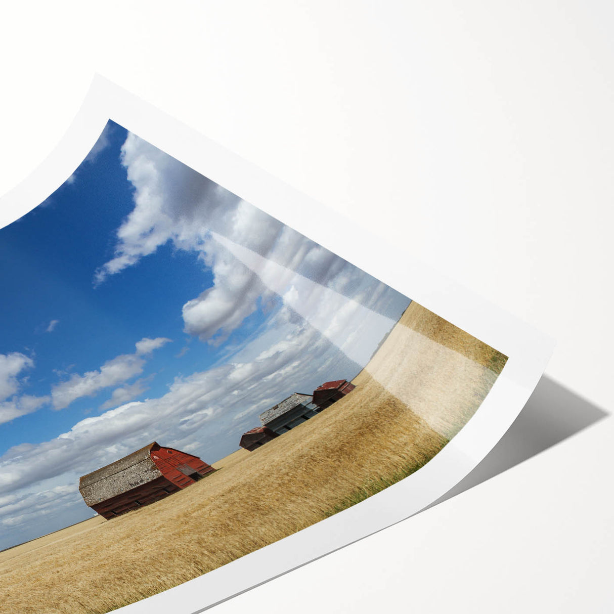 Extra large wall art featuring line art flowers in muted earth tones on a rolled canvas, ideal for large living room decor.