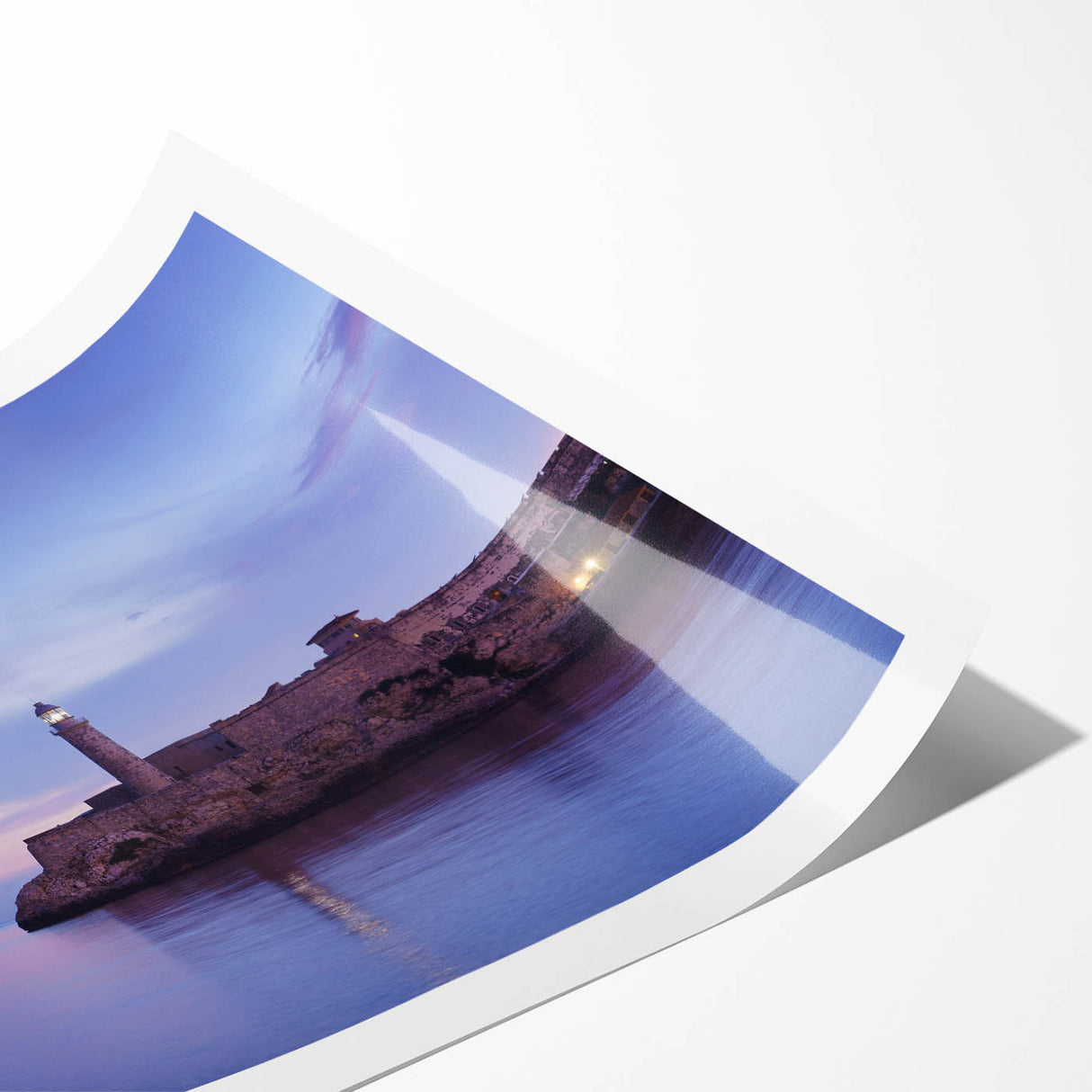 Extra large wall art featuring line art flowers in soft pastel shades on a rolled canvas, ideal for large living room decor.