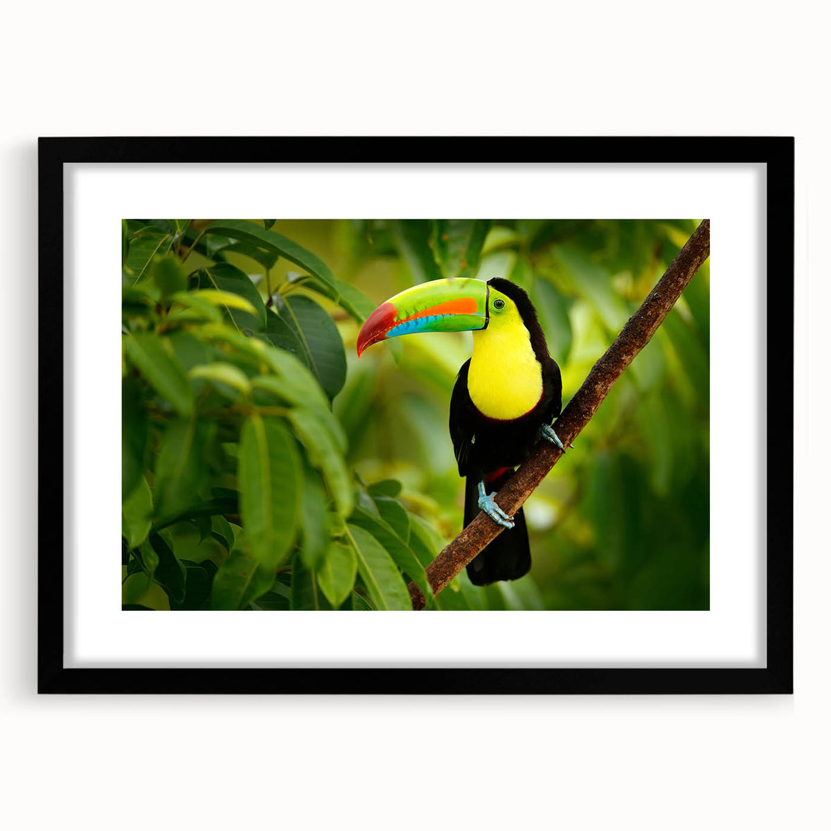 Extra large abstract art print featuring textured scenery of Central America in a black frame, ideal for living room decor.
