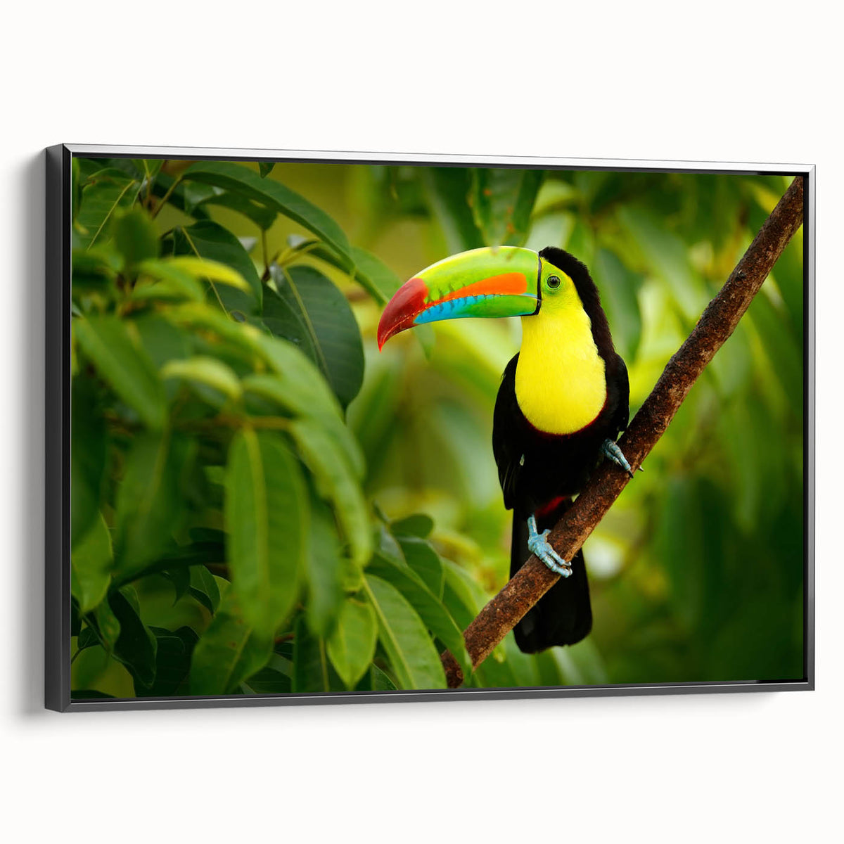 Black and white framed canvas featuring a vintage landscape of Central America, ideal for bedroom wall art.