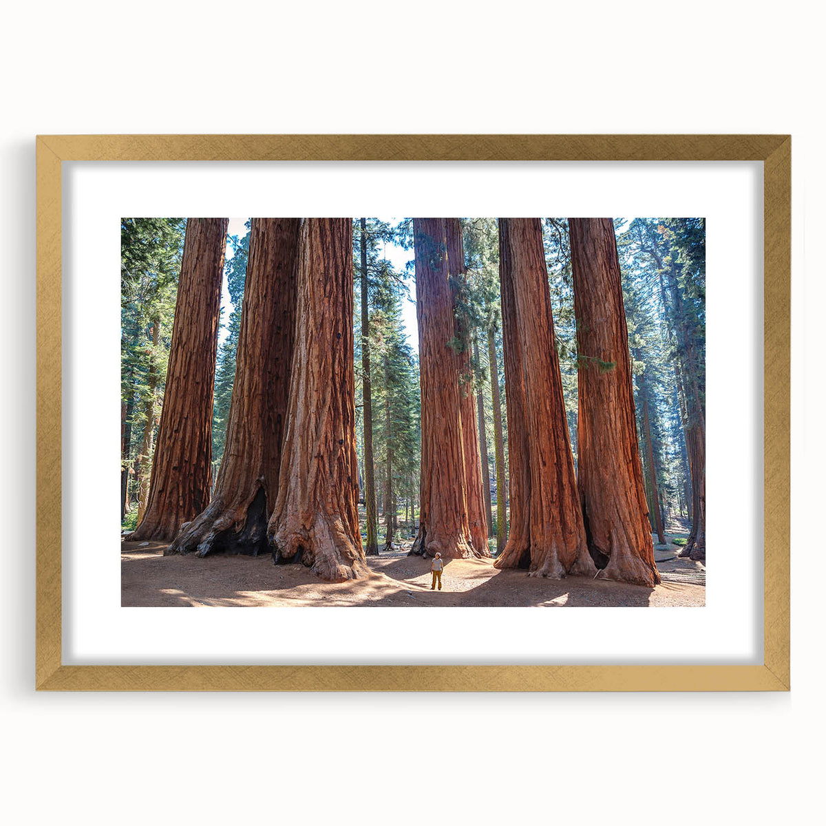 Extra large wall art featuring a textured abstract print of California's Sequoia in muted earth tones, framed in gold.