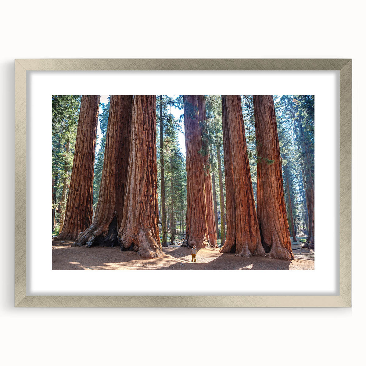 Textured art depicting abstract California sequoia trees in muted green and brown, framed in silver.