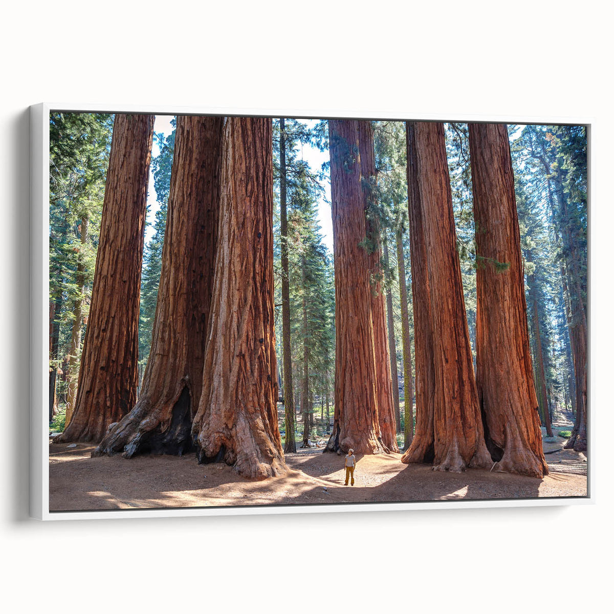 Vintage poster art of a Sequoia landscape on a framed canvas, featuring bold colors, ideal for living room decor.