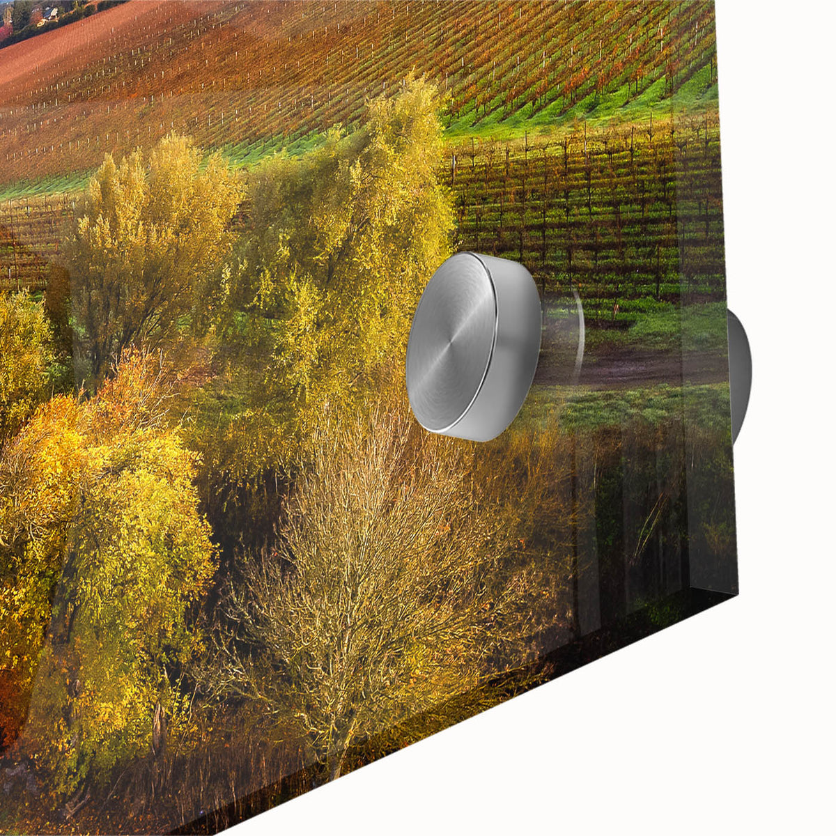 Large abstract wall art featuring a mid-century modernist style Sonoma landscape in muted earth tones, acrylic print.