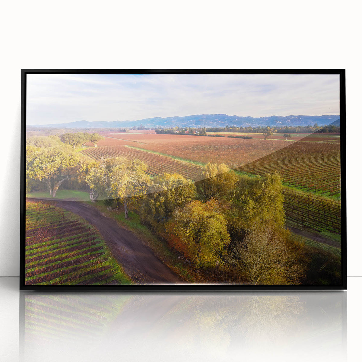 Large abstract wall art depicting a vibrant Sonoma, California landscape in acrylic, framed in black.