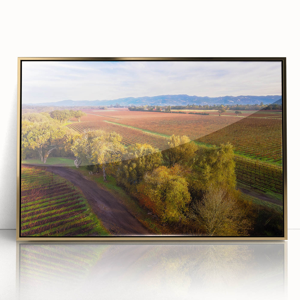 Large art print of Sonoma, California landscape in muted earth tones on framed acrylic, ideal for modern art wall decor.