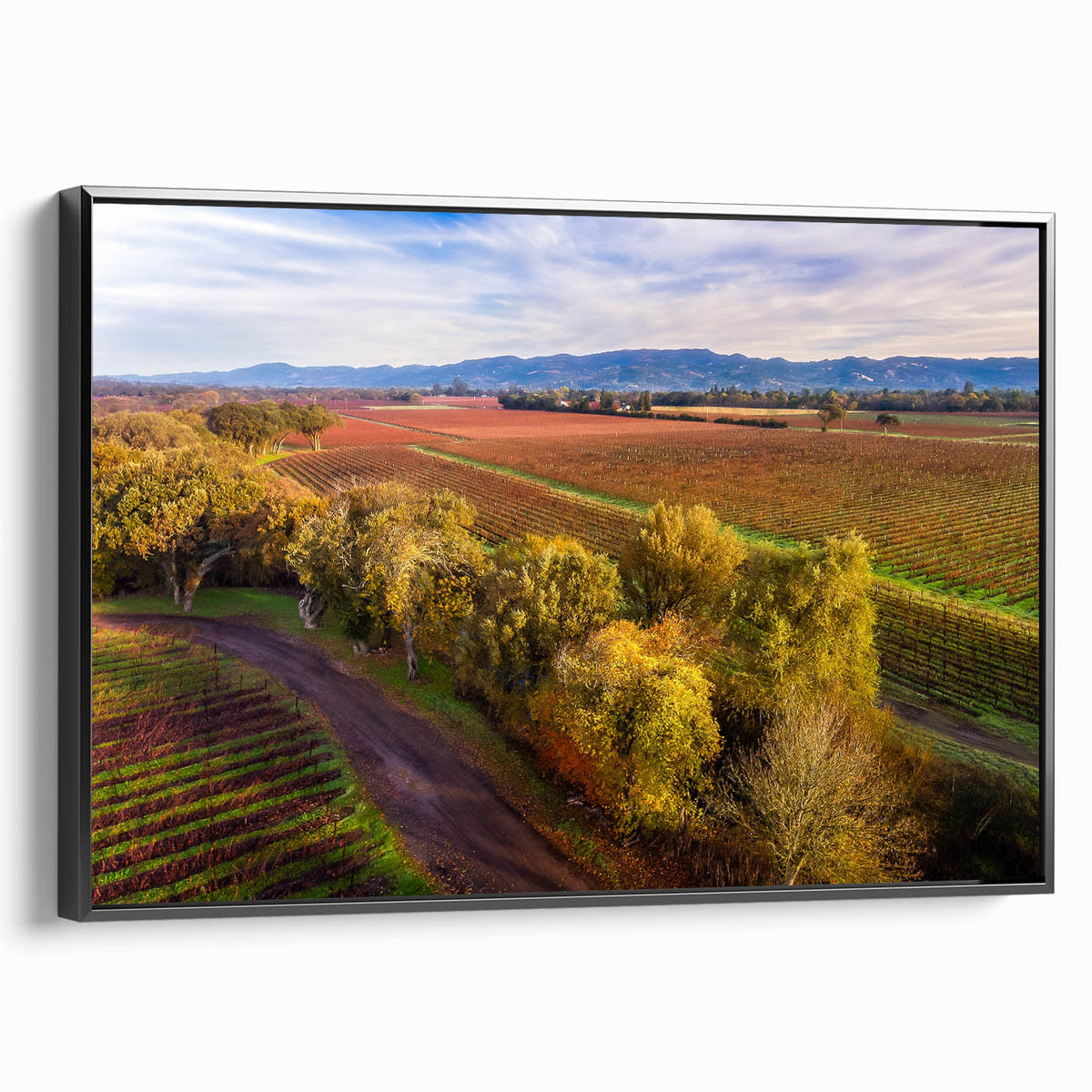 Vintage poster art of California's Sonoma scenery on a framed canvas, featuring vibrant colors.