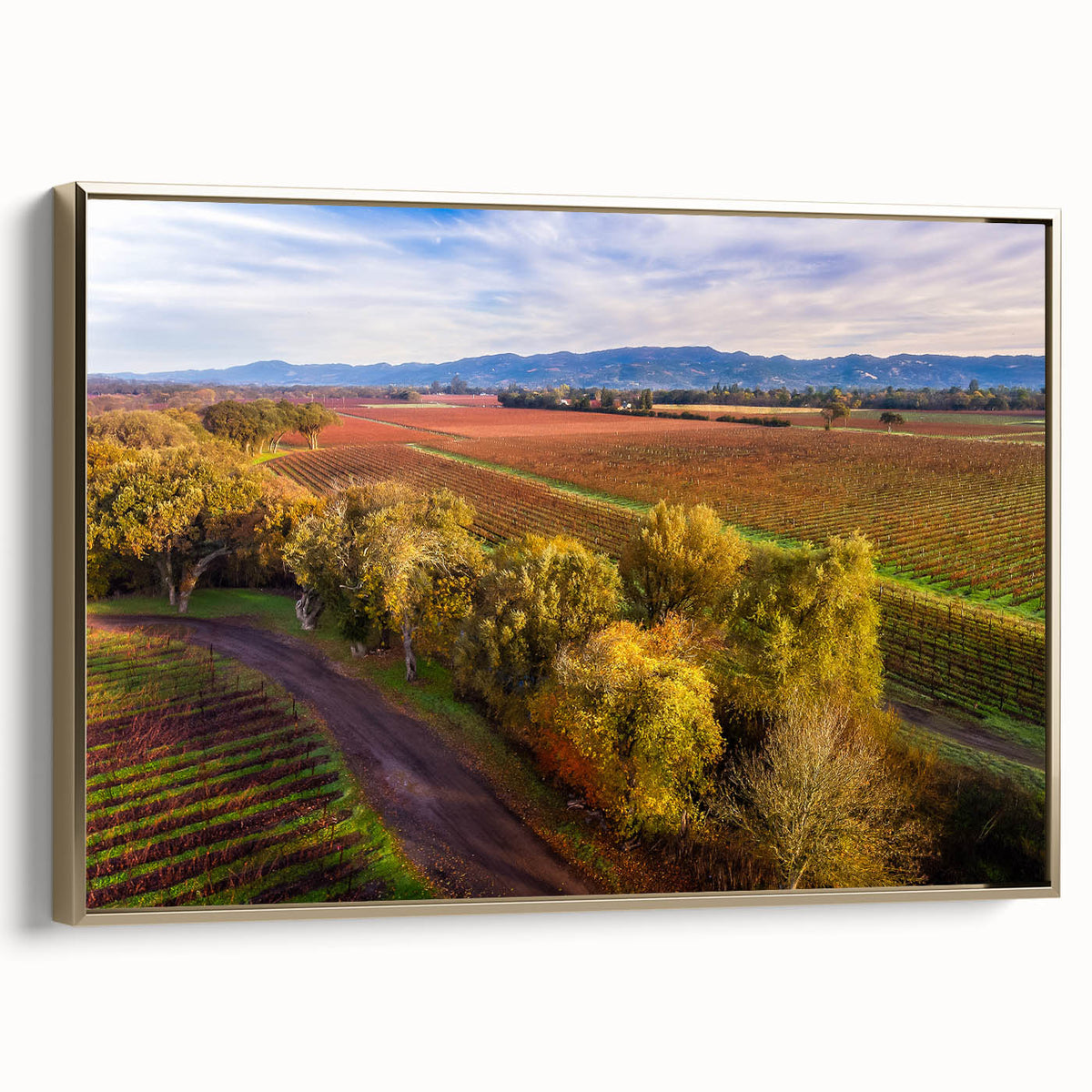 Black and white landscape art painting of Sonoma, California on framed canvas, suitable for bedroom wall decor.