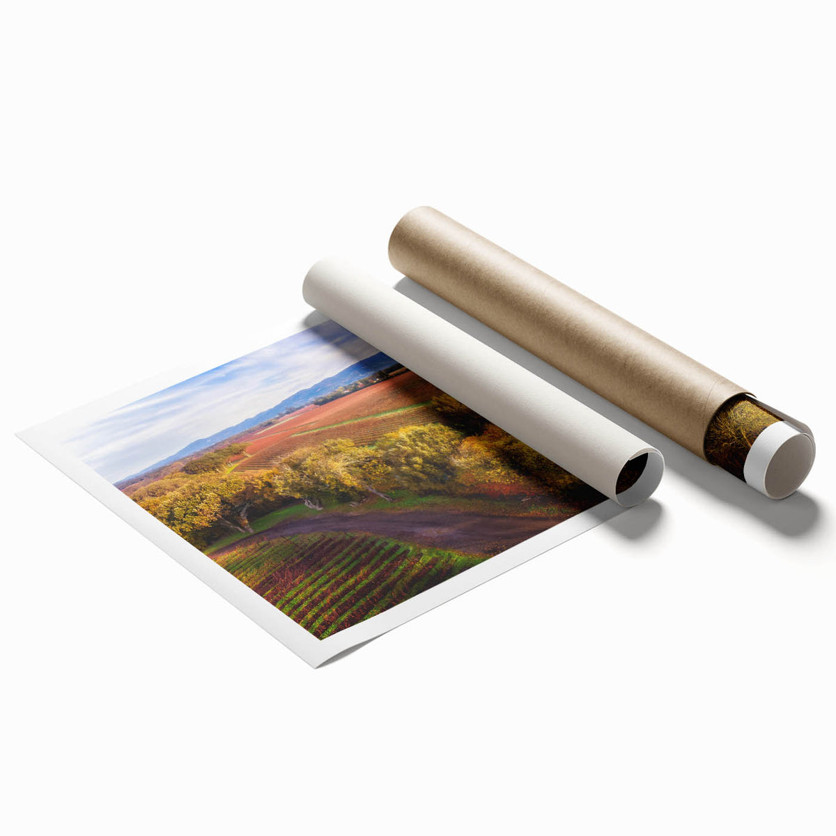 Extra large rolled print featuring Sonoma, California scenery with lush floral elements, in soft pastel shades.