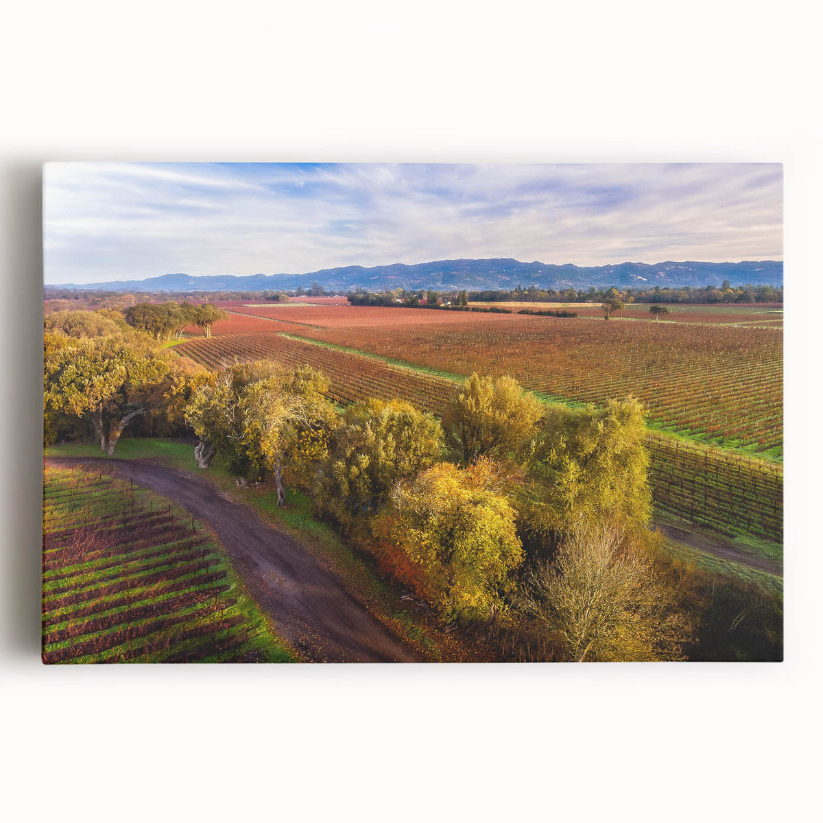 Black and white stretched canvas of Sonoma, California scenery, ideal for kitchen wall art.