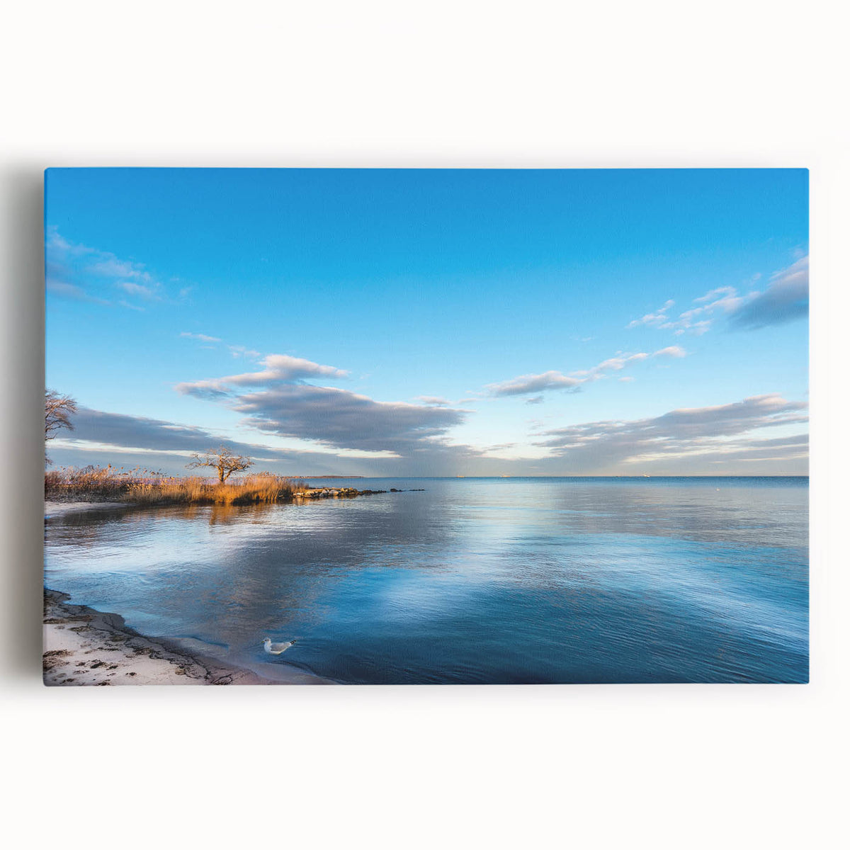 Black and white photograph of Chesapeake Bay on stretched canvas, ideal for kitchen wall art.