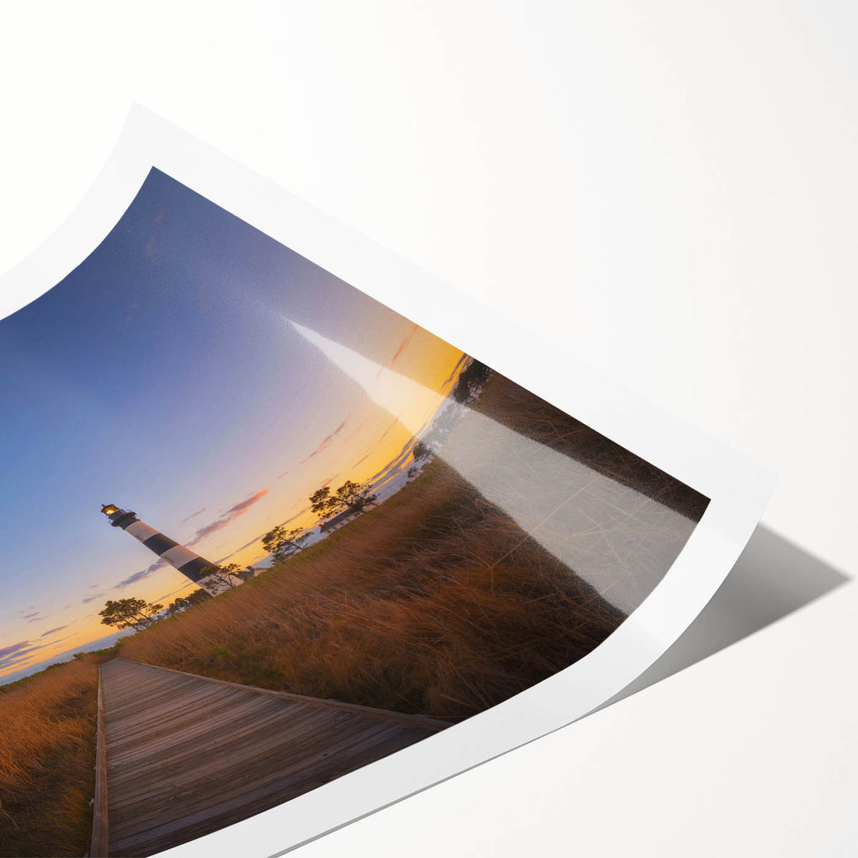 Extra large wall art featuring line art flowers in black on white background, rolled print.