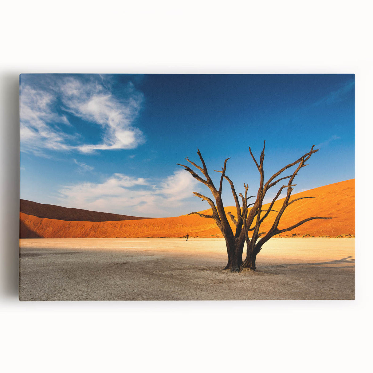 Black and white stretched canvas of a Namibian landscape, ideal for kitchen wall art.