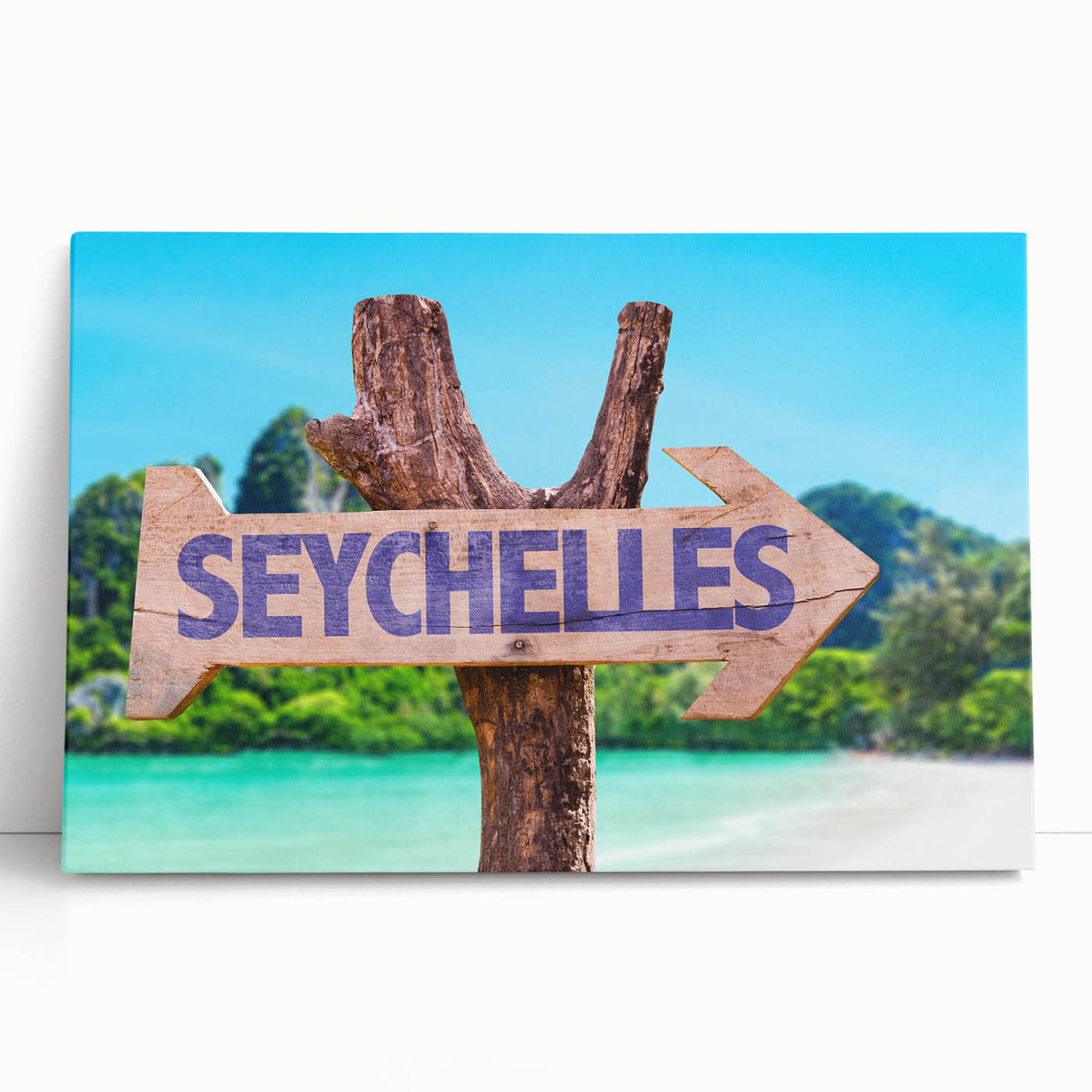 Black and white photo of Seychelles scenery on large stretched canvas, ideal for kitchen wall art.