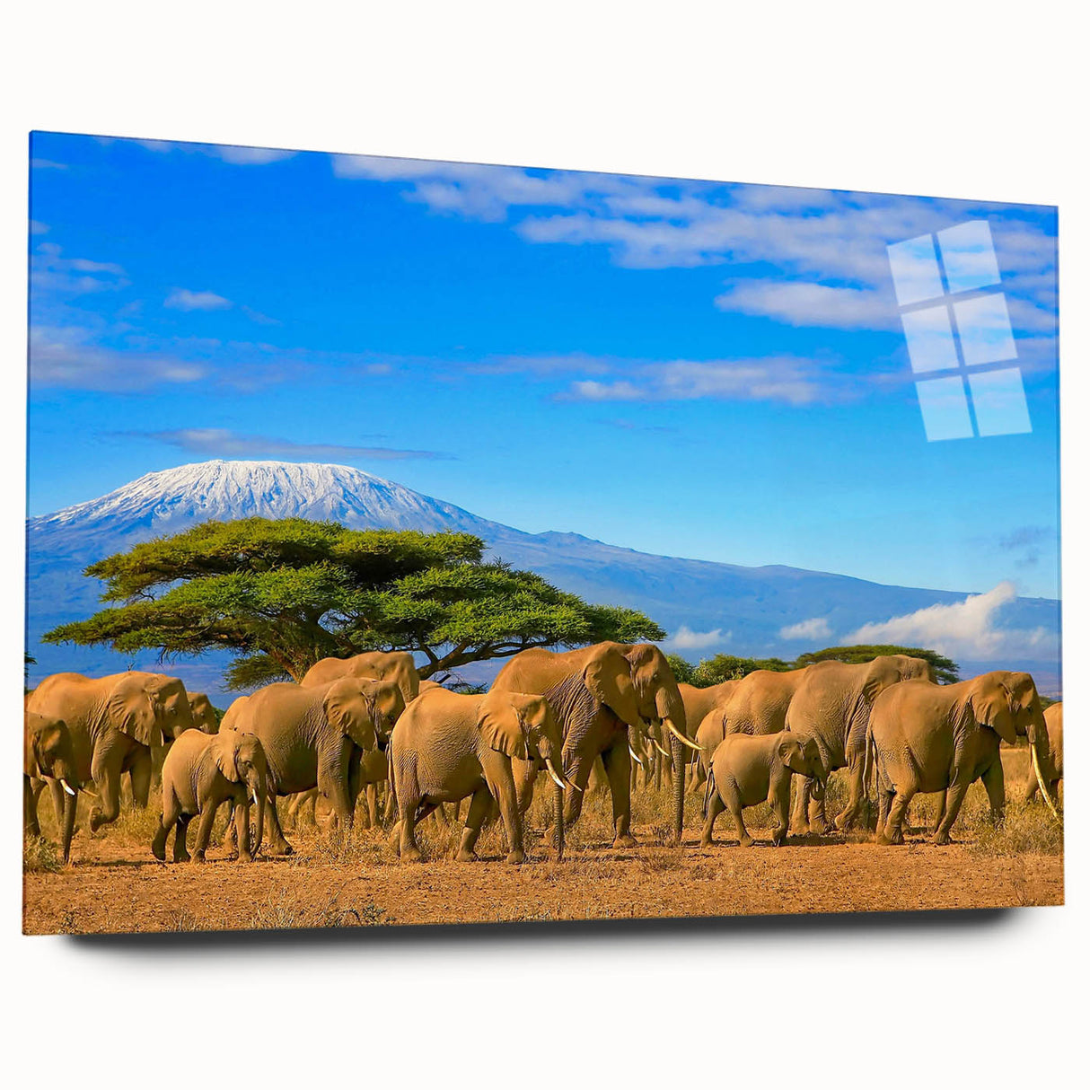 Large abstract wall art of Tanzanian scenery in vibrant earth tones on acrylic glass, ideal for bedroom or dining room decor.