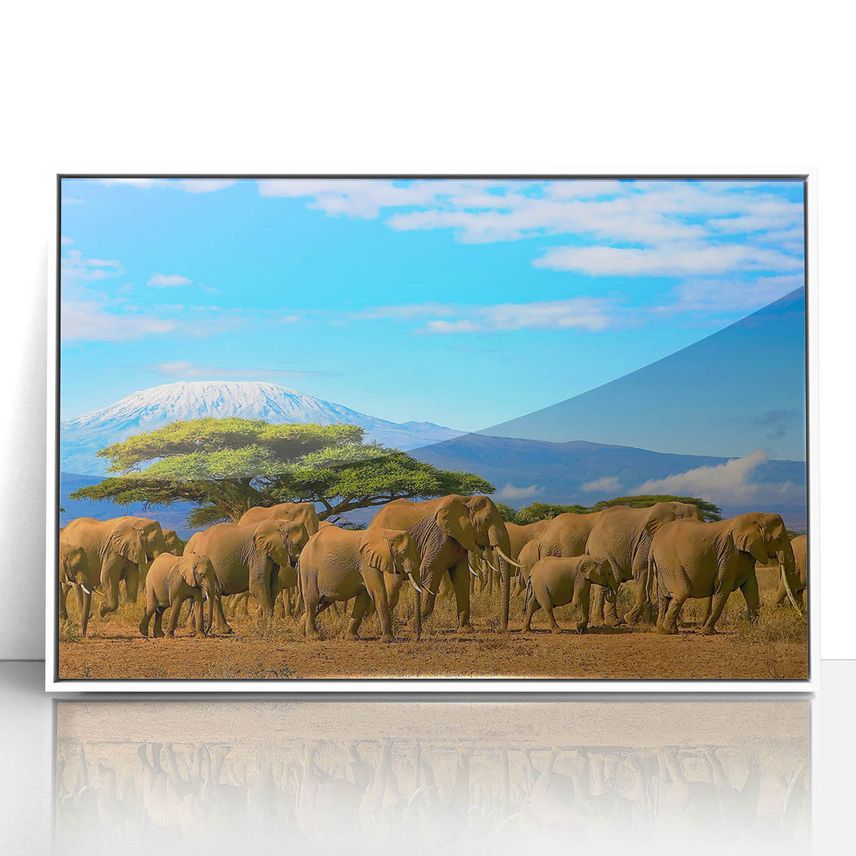 Acrylic print of a Tanzanian landscape, featuring muted earth tones and a simple frame.