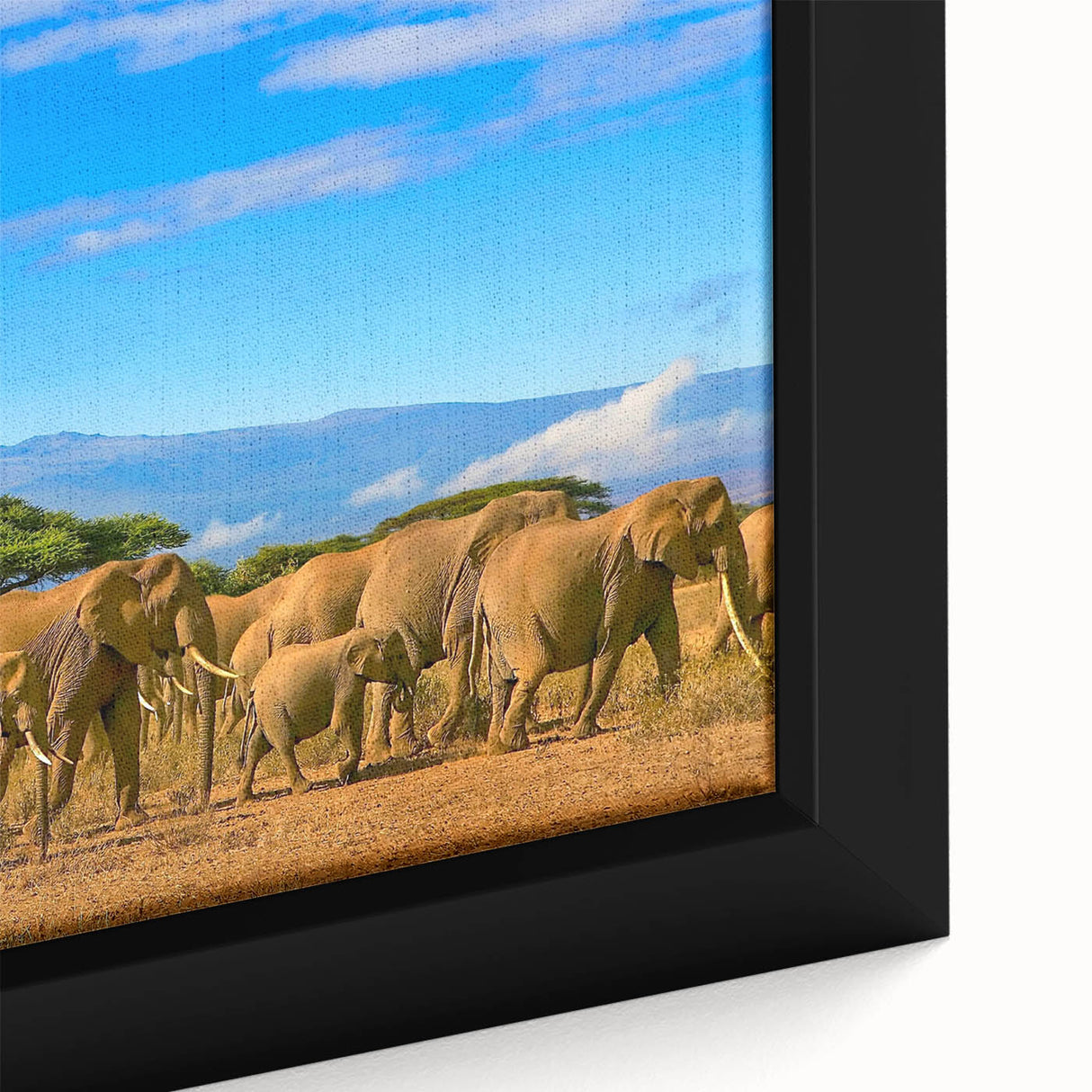 Framed canvas featuring a textured, colorful African landscape in predominantly black tones, ideal for living room decor.