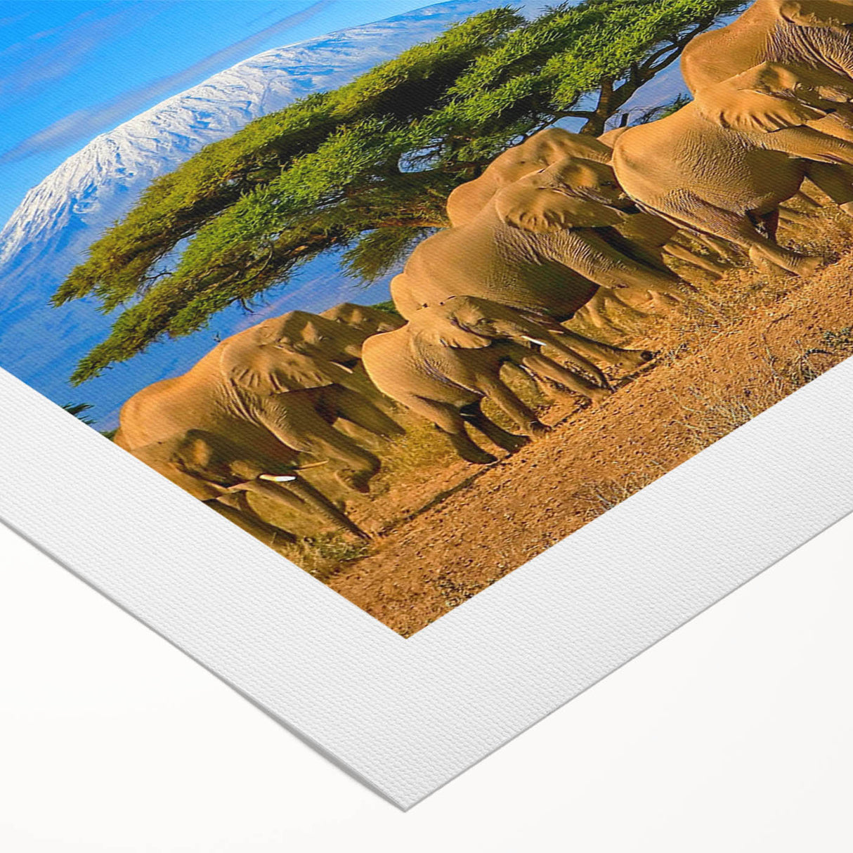 Art deco poster featuring a stylized Tanzanian landscape in muted earth tones on rolled canvas.