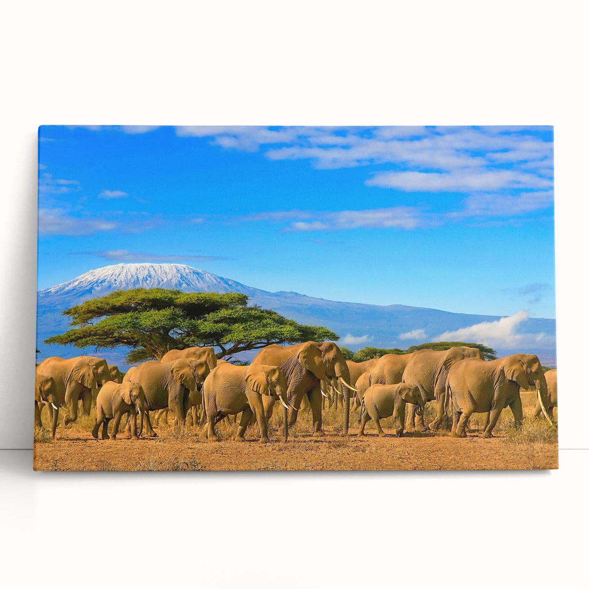 Large black and white canvas print of African scenery, ideal for kitchen wall art.