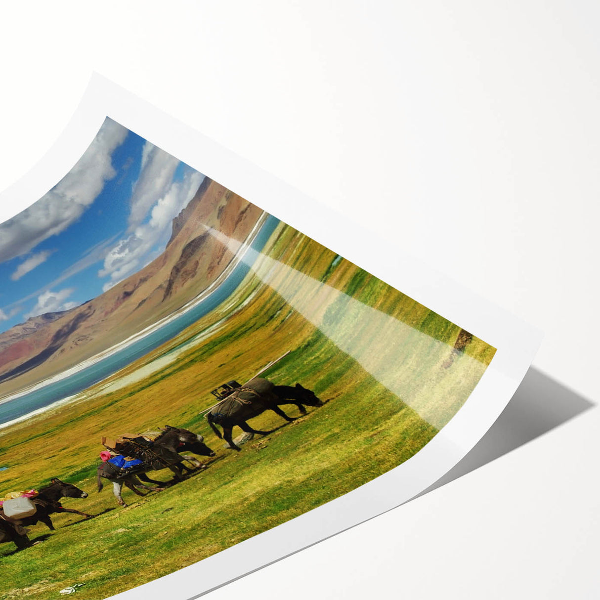 Extra large wall art featuring line art flowers over a muted landscape of Tibet, printed on rolled canvas.