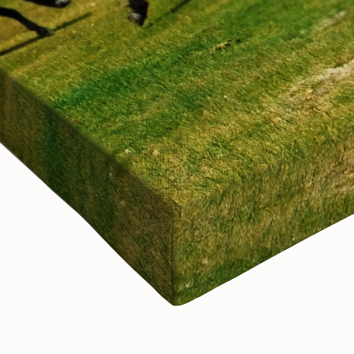 Large art of a black and white Tibetan landscape on stretched canvas, ideal for bedroom wall decor.