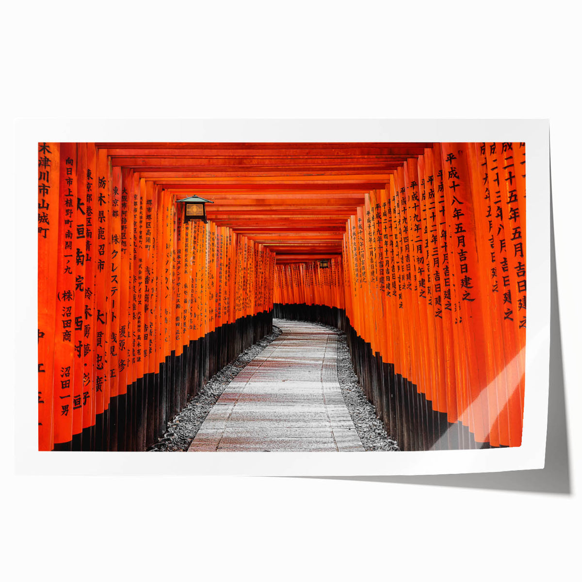 Rolled print of Kyoto scenery with cherry blossoms in soft pink and white tones, suitable for art wall dining room.